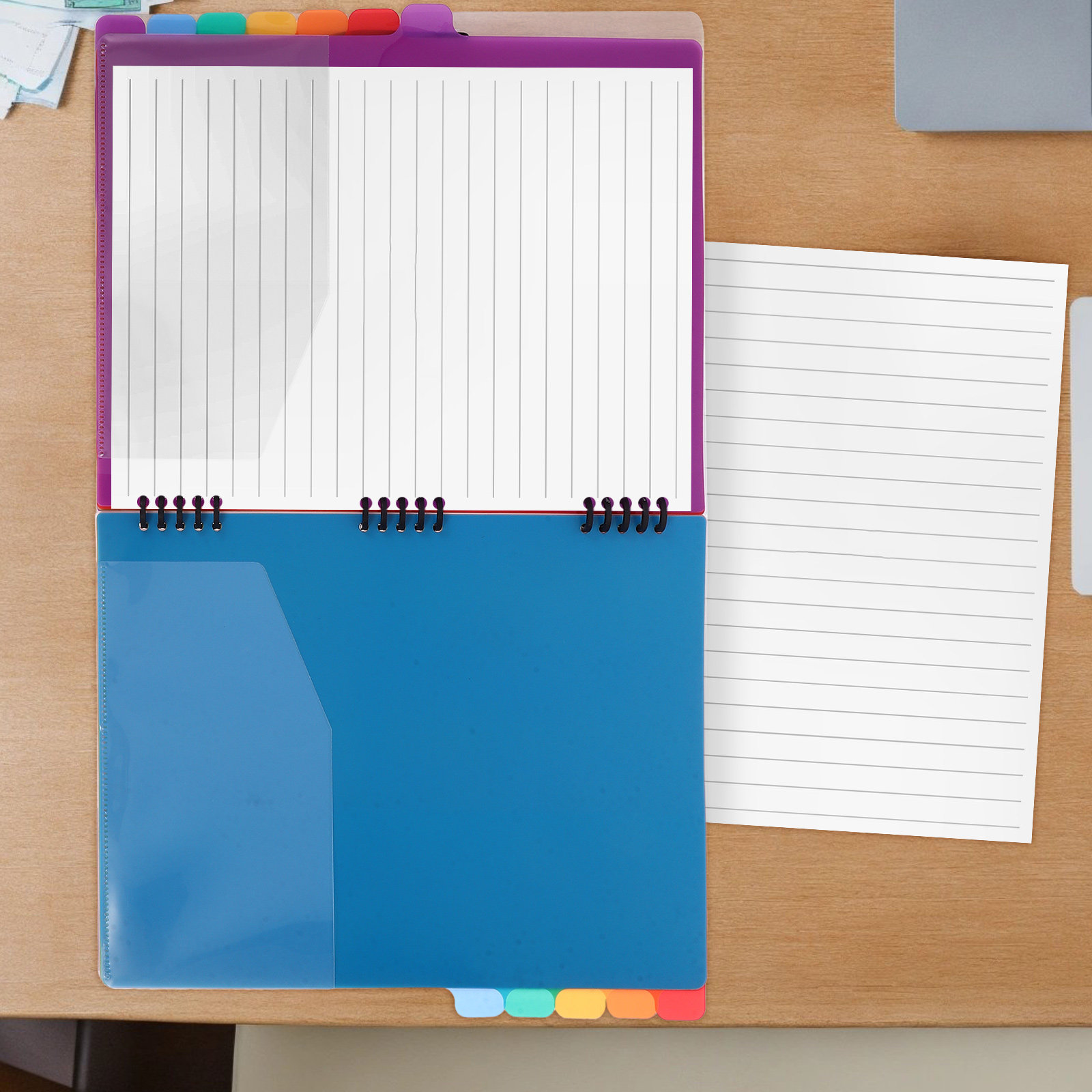A4 Document Organizer File Bin - Tab Divider A4 评论和价格