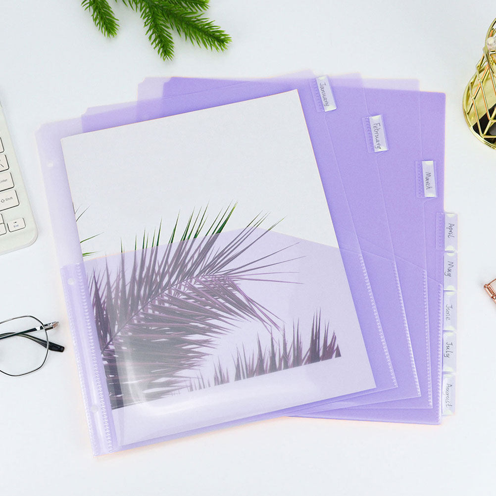 2Sets Transparent PP A4 Binder - Tab Divider A4 评论和价格