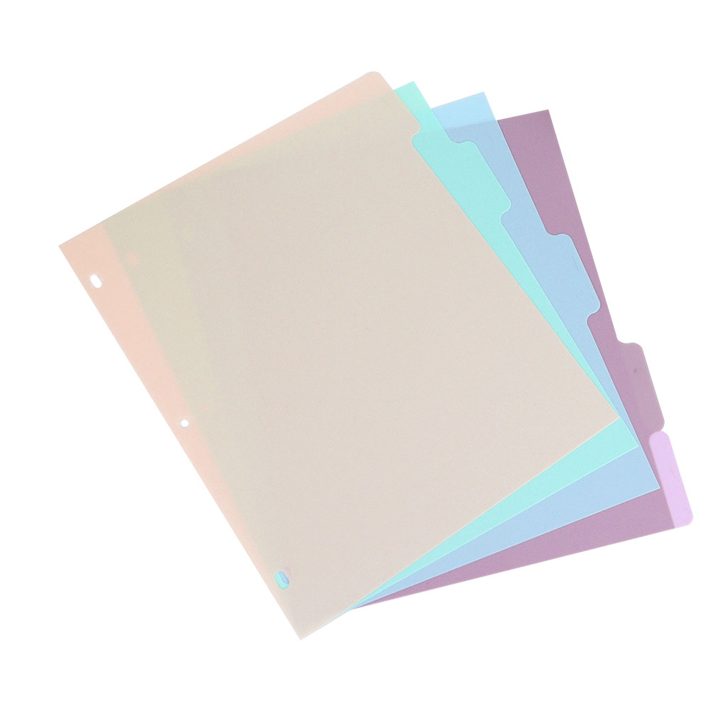 1Set Frosted PP A4 Binder Divi - Tab Divider A4 评论和价格